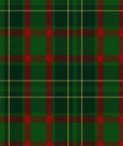 Clan Doyle Tartan Kilt