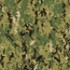 US Navy Camo