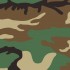 Woodland Camo