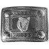 Irish Harp