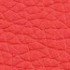 Red Leather